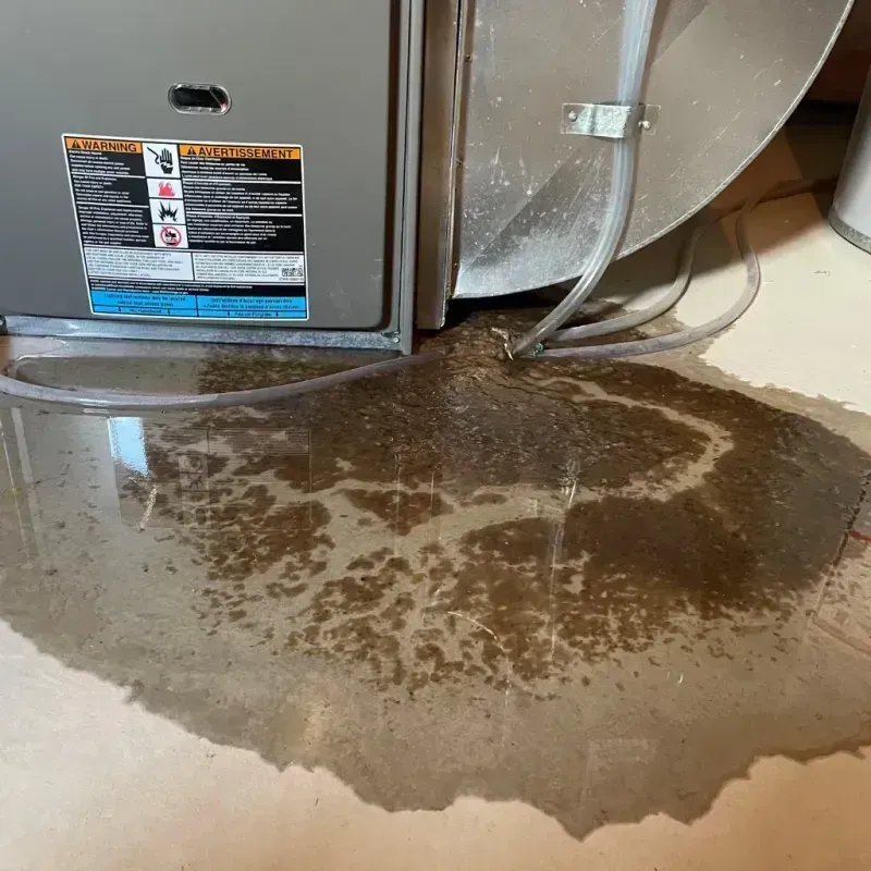 Appliance Leak Cleanup in Beaver Dam, WI